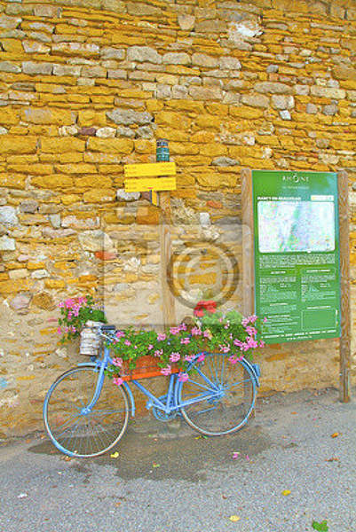 Фотообои -Велосипед в цветах у стены артикул 10003599