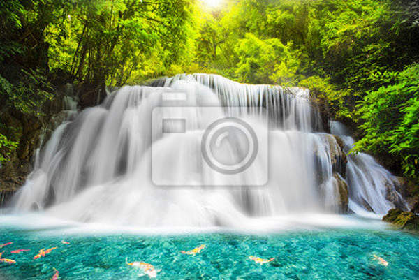 Фотообои на стену с водопадом в тропических джунглях артикул 10003315