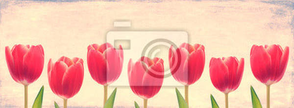 Фотообои - Семь розовых тюльпанов артикул 10003218