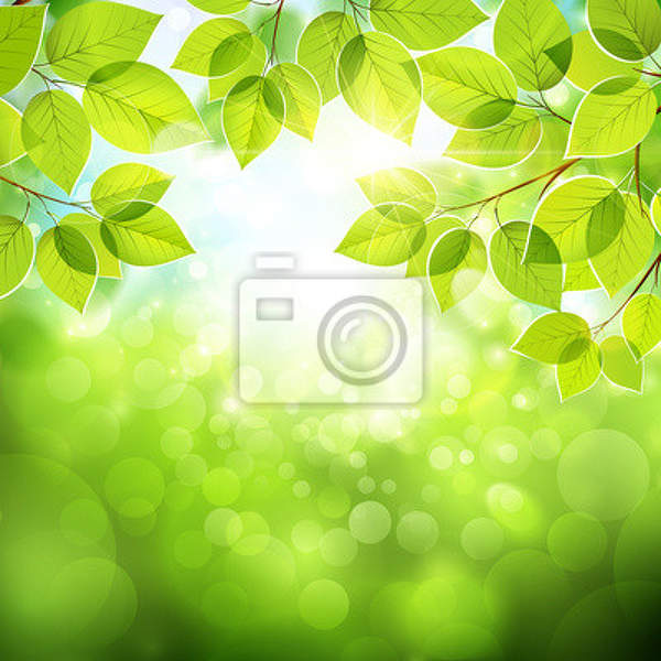 Фотообои с зелеными листьями артикул 10004527