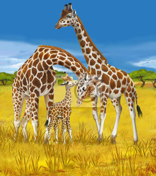 Арт-обои с жирафами артикул 10004683