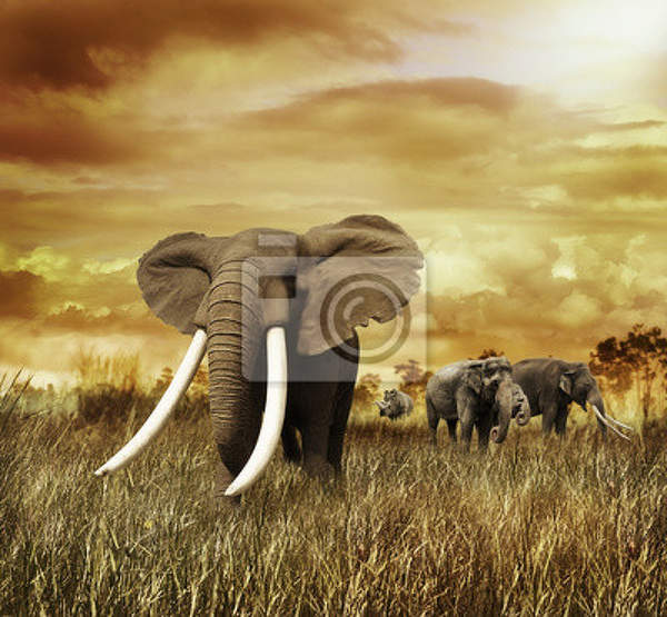 Фотообои - Пейзаж со слонами артикул 10005167