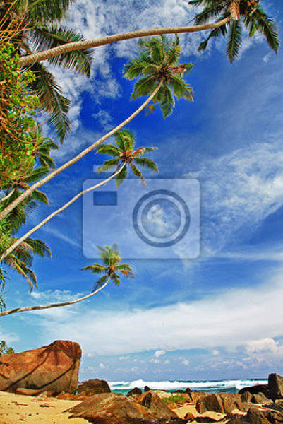 Фотообои - Цейлонский пляж артикул 10004597