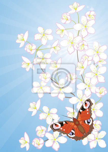 Арт-обои - Цветущая вишня и бабочка артикул 10004309