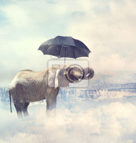 Фотообои - Слон под зонтом артикул 10005171