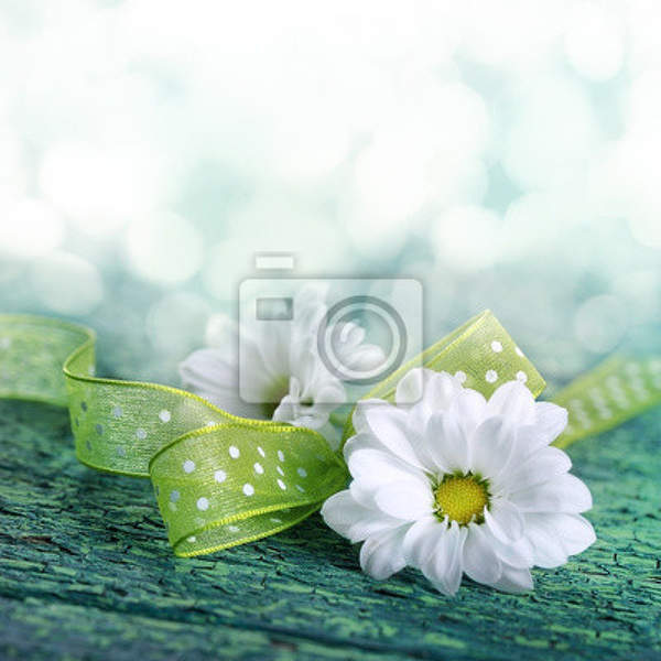 Фотообои - Цветы с ленточками в облаках артикул 10004275
