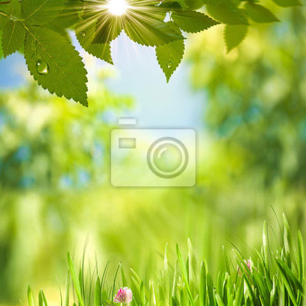 Фотообои - Зеленый летний день артикул 10004746