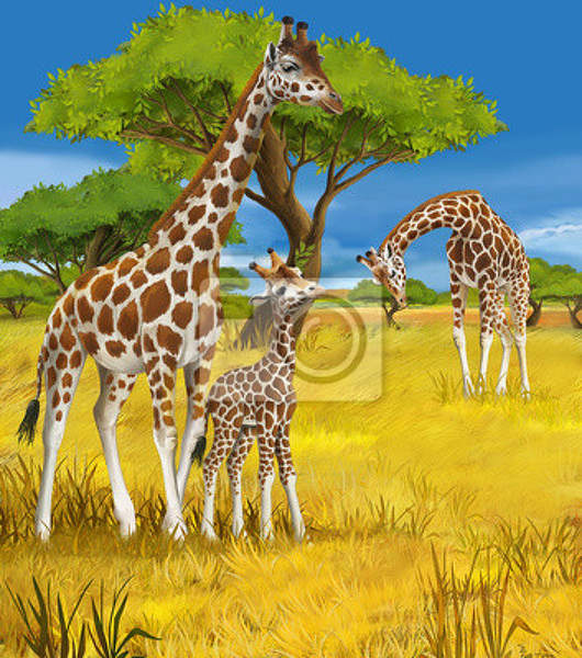 Детские фотообои с жирафами артикул 10004684