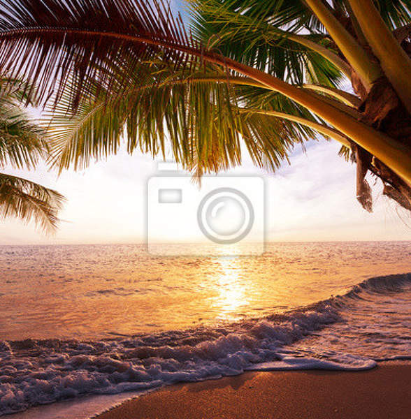 Фотообои для стен - Пляж с пальмой артикул 10005136