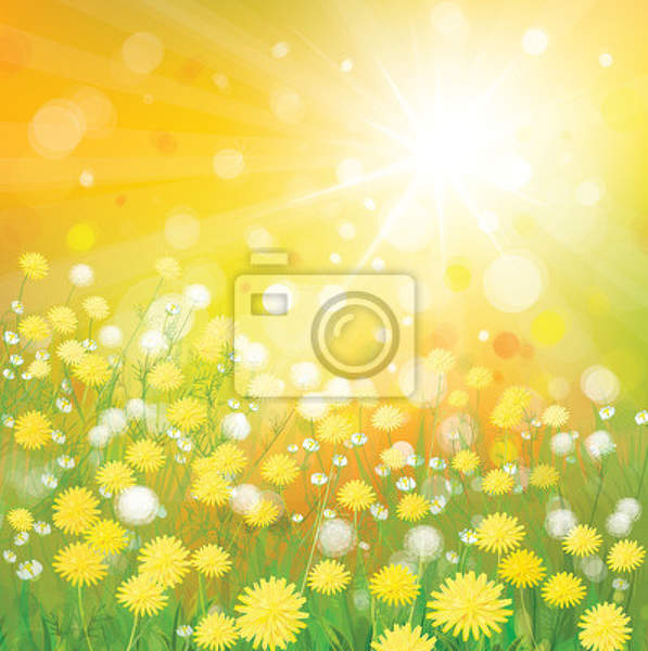 Фотообои - Поле цветов в солнечном свете артикул 10004344