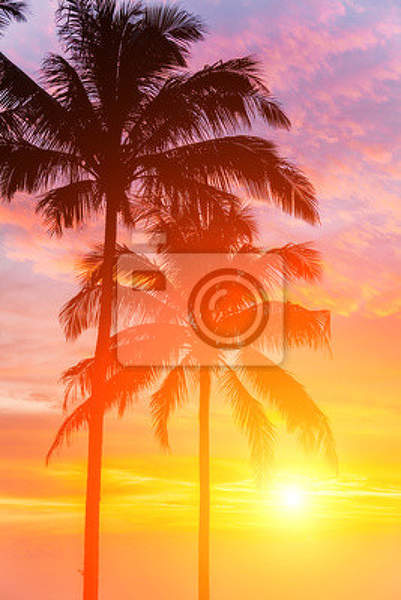 Фотообои - Две пальмы на закате артикул 10005069
