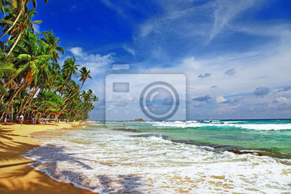 Фотообои - Цейлонский морской пейзаж артикул 10004320