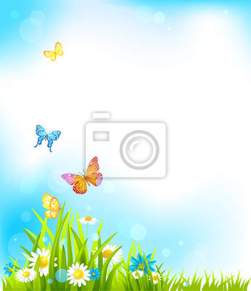 Фотообои - Цветочки-бабочки артикул 10004345
