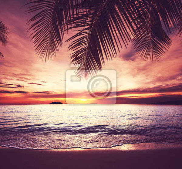 Фотообои - Пляж на закате артикул 10005137