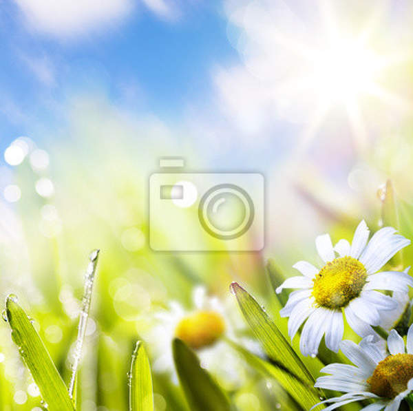 Фотообои с цветами в траве артикул 10004366