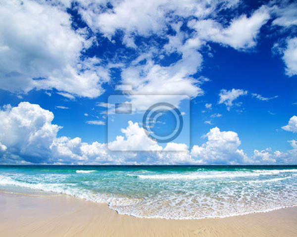 Фотообои с ясным пляжем артикул 10005140