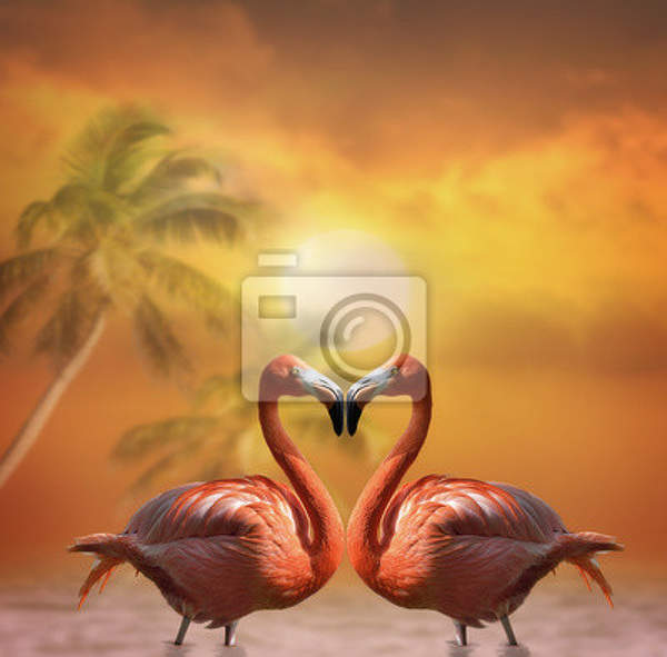 Фотообои - Влюбленные розовые фламинго артикул 10004672