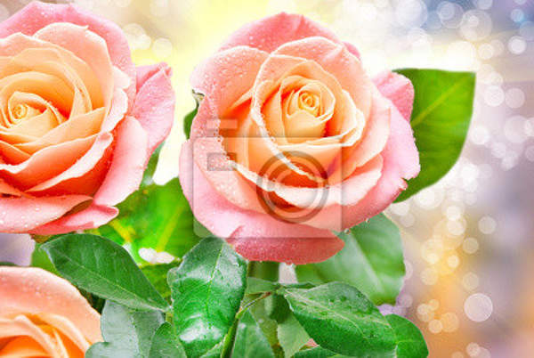 Фотообои - Цветы розы артикул 10005884