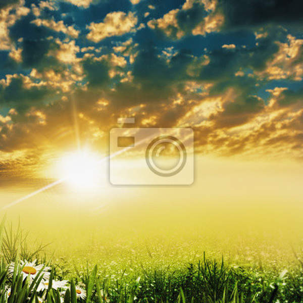 Фотообои - Солнечный природный пейзаж артикул 10005340