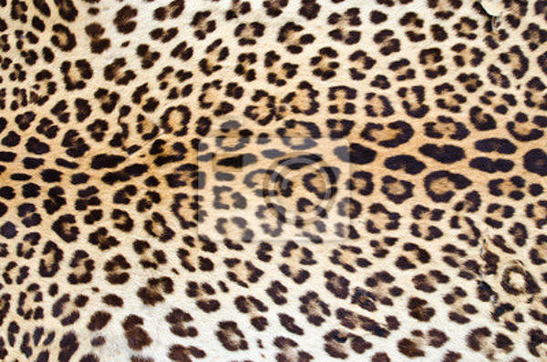 Фотообои с текстурой леопарда артикул 10005288