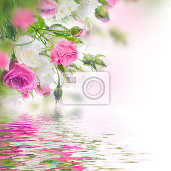Фотообои - Розы над водой артикул 10005861