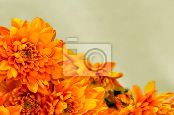 Фотообои - Оранжевые цветы артикул 10005814