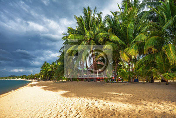Фотообои - Экзотический пляж с пальмами артикул 10005315