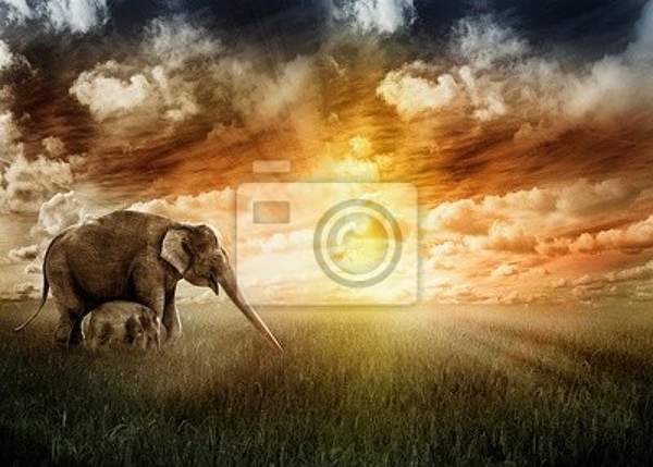 Фотообои - Пейзаж со слонами артикул 10005279