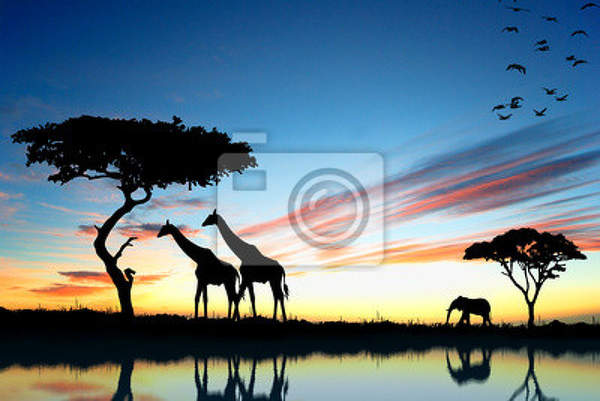 Фотообои - Сафари с жирафами артикул 10005500