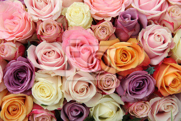 Фотообои с пастельными розами артикул 10006022