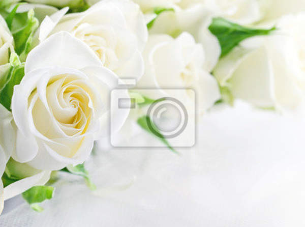 Фотообои - Белые розы артикул 10005855