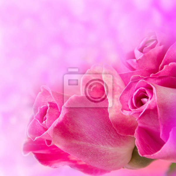Фотообои с розовыми розами артикул 10005872