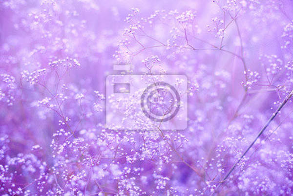 Фотообои с фиолетовыми цветами артикул 10006956
