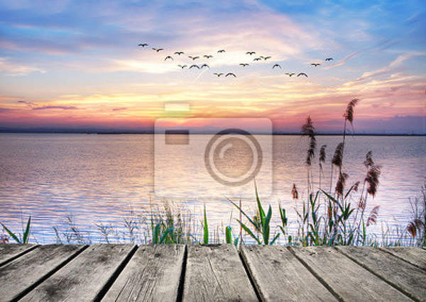 Фотообои - Нежный закат на озере артикул 10006498