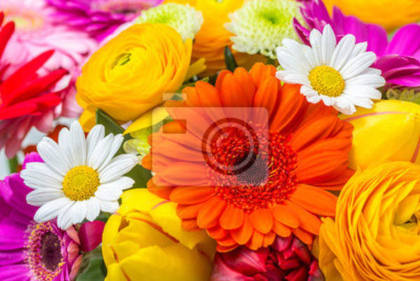 Фотообои - Макро цветы артикул 10006292