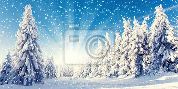 Фотообои - Зима артикул 10006332