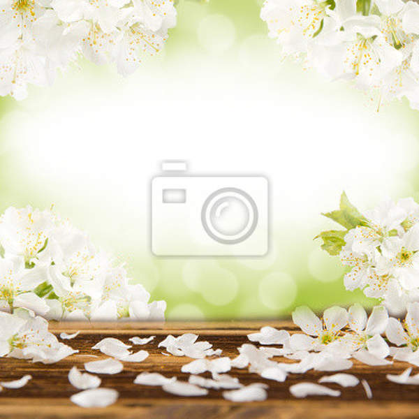 Фотообои для стен - Весна артикул 10006224