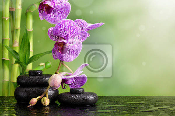 Фотообои на стену - Орхидея и камни артикул 10006276