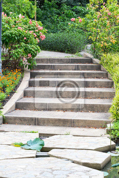 Фотообои - Лестница в саду артикул 10006356