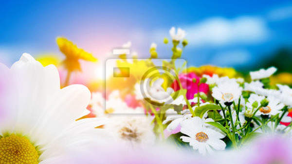 Фотообои с летними цветами артикул 10006482