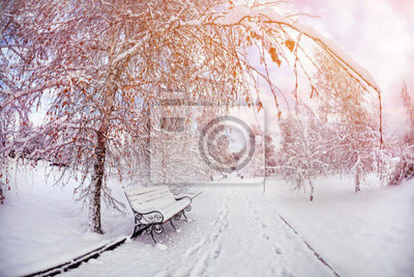 Фотообои - Зимний парк артикул 10006805