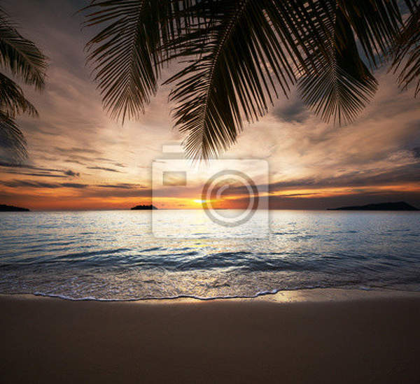 Фотообои - Тропический пляж ночью артикул 10006376