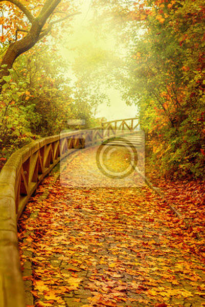 Фотообои - Осенний мостик артикул 10006804