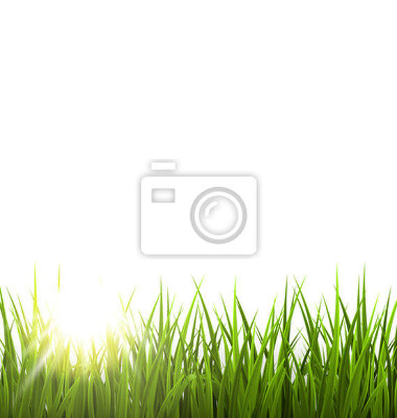 Фотообои для стен - Зеленая трава артикул 10006907