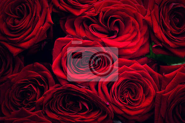 Фотообои с темно-красными розами артикул 10006942
