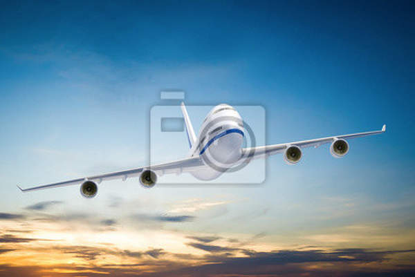 Фотообои - Небо и самолет артикул 10006246