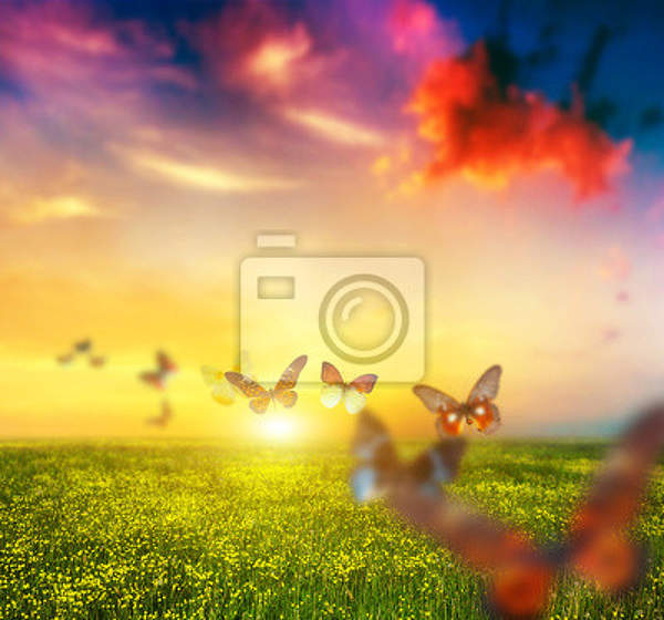 Фотообои - Закат и бабочки артикул 10006460