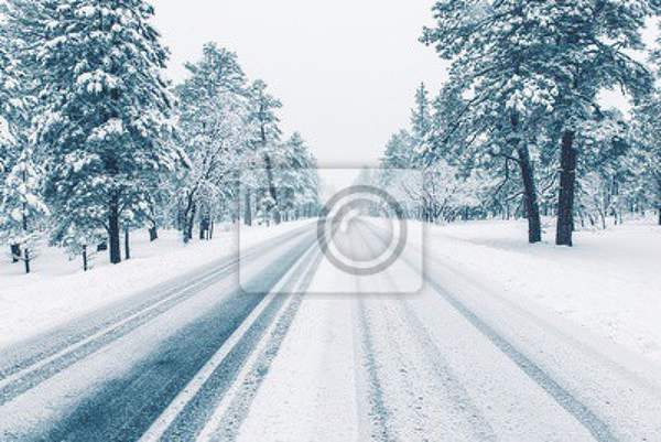 Фотообои - Дорога зимой артикул 10008155