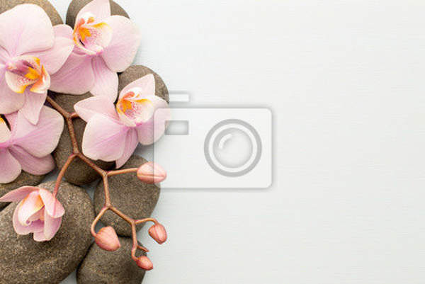 Фотообои - Спа и орхидеи артикул 10008289