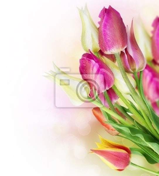 Фотообои - Весенние тюльпаны артикул 10008191